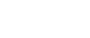 bsjchbs